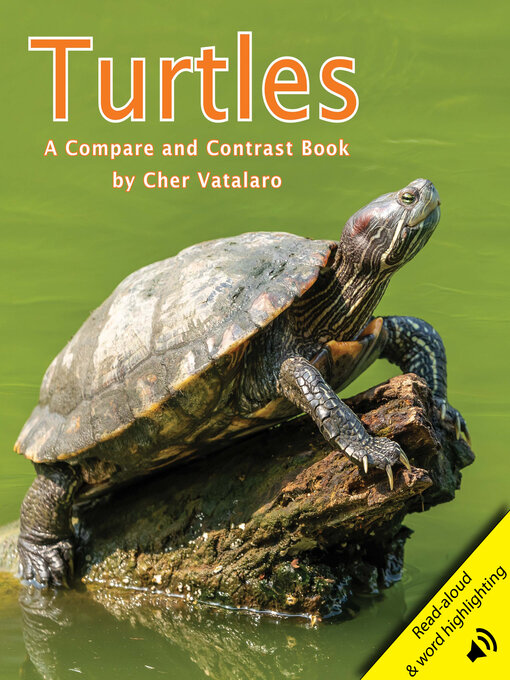 Cher Vatalaro创作的Turtles作品的详细信息 - 可供借阅